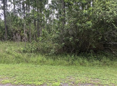 24 AMARYLLIS DRIVE INDIAN LAKE ESTATES FL 33855