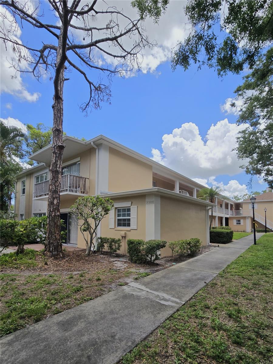 Welcome to Chateaux De Bardmoor #6! Now is your opportunity to purchase this 2-bedroom 2 bathroom first floor corner unit which comes with its own private garden, patio space and a carport! Association 6 is located across the street from the community pool.
Freshly painted, this condo has been fully updated with new lighting & fans throughout, new tile flooring in the kitchen, hallway & baths, luxury vinyl plank in the living room and bedrooms. The kitchen has quartz counters, newer cabinets, a smart home sensor faucet, recessed can lighting, under cabinet lighting, disposal and a full set of kitchen appliances. Both bathrooms have newer lighting, faucets and vanities. The guest bathroom remodel includes a walk-in tiled shower with a niche and frameless glass pane doors. Each unit has storage space.
The community has a new roof (2024) and is being freshly painted (Jun/Jul 2025).
The $540 HOA fees include cable tv, water, sewer & trash, the community clubhouse & pool, building maintenance, grounds care, exterior pest control, exterior insurance & reserves for future roofs, painting, paving & stairwells. Book your appointment today!