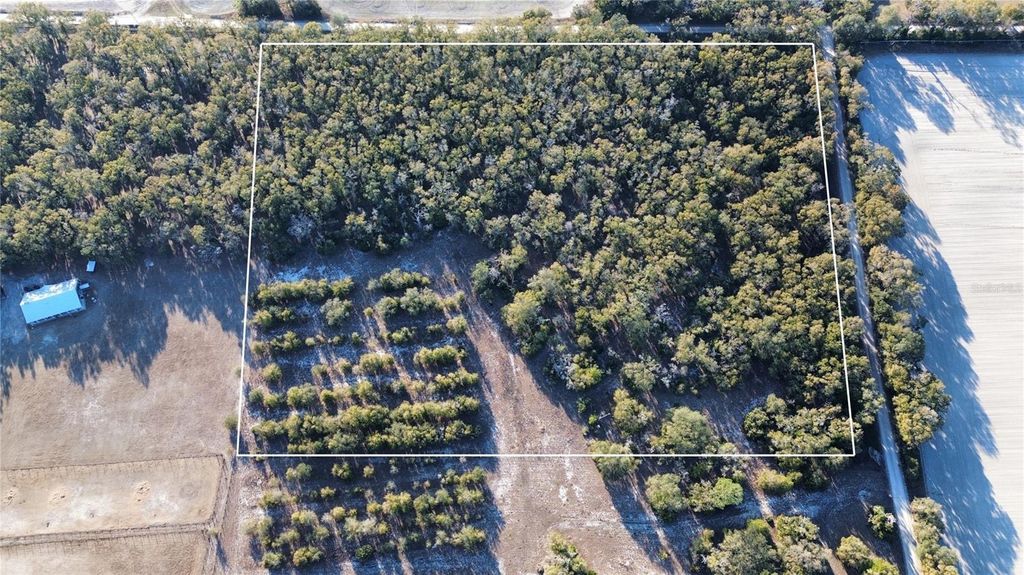 Photo of 3829 Rodeo Road, Bell, FL 32619 (MLS # GC537588)