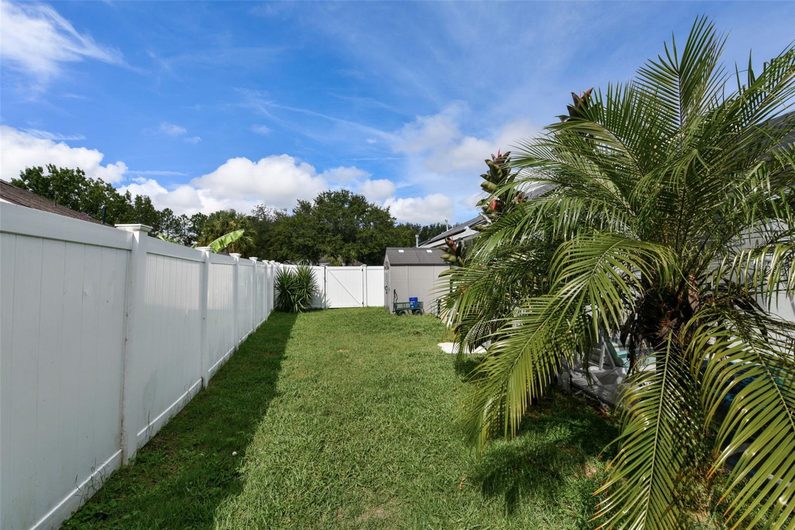 ORANGE TREE PH 06 - Residential