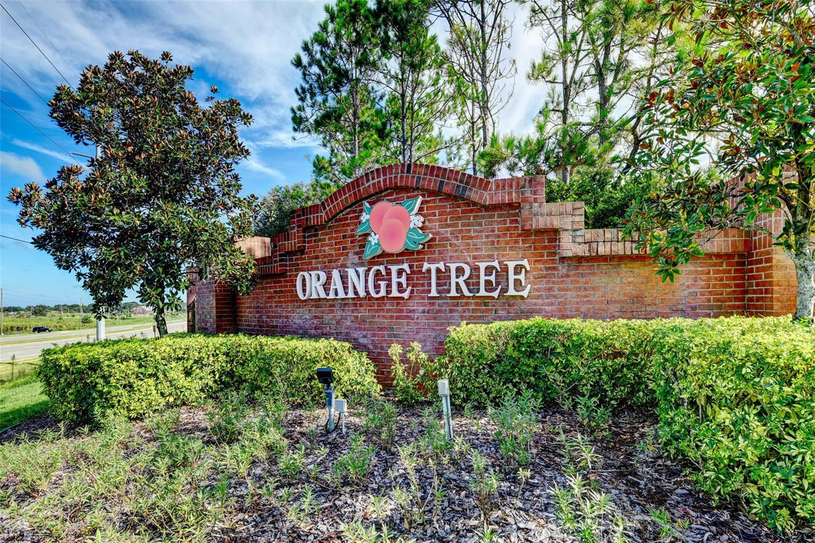 ORANGE TREE PH 06 - Residential