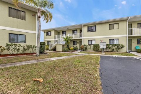 A home in PUNTA GORDA