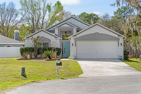 A home in LAND O LAKES