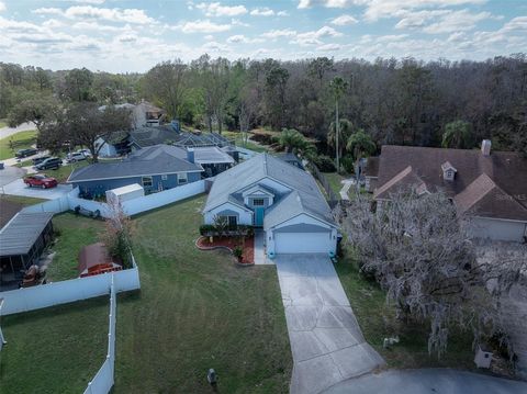 A home in LAND O LAKES