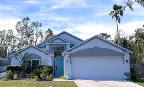 A home in LAND O LAKES