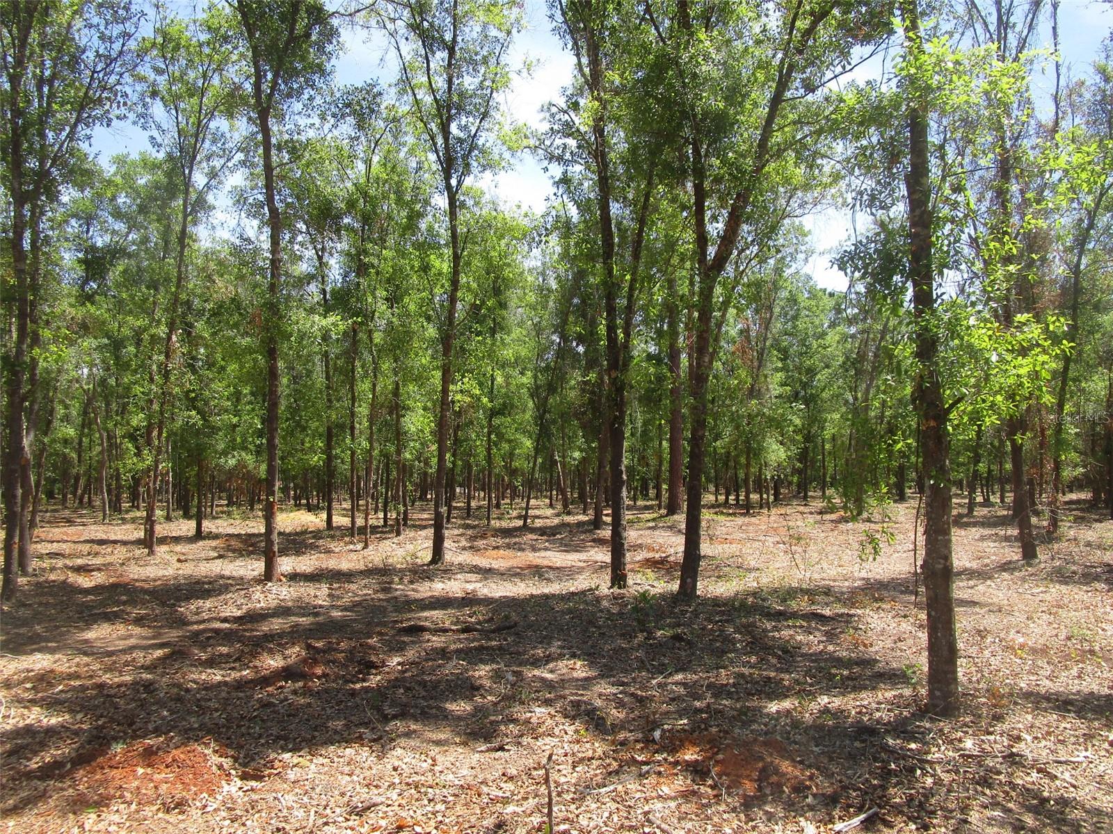 0 CASTLEWOOD ROAD LOT 3