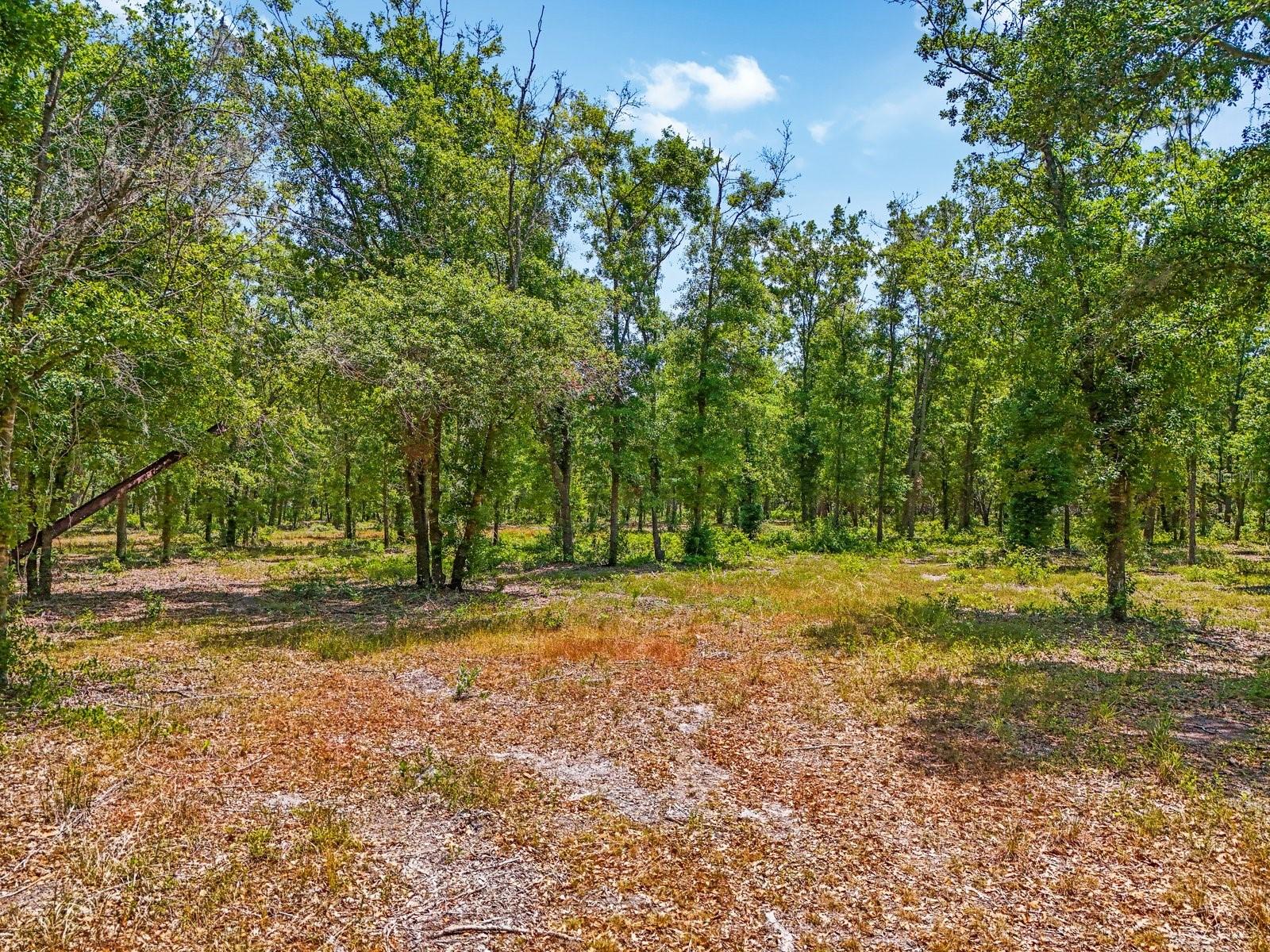 0 CASTLEWOOD ROAD LOT 3