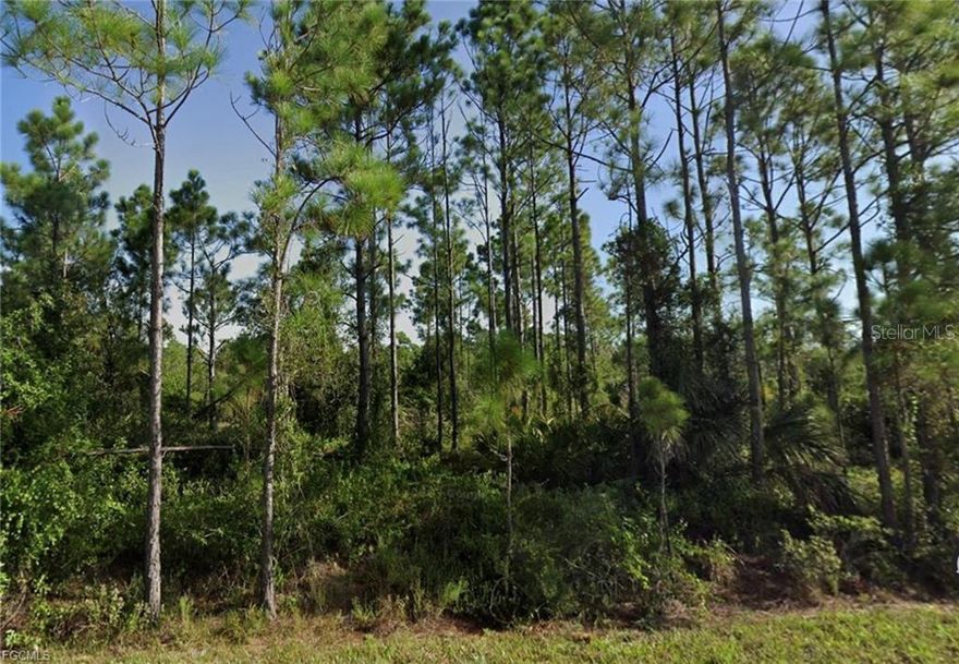 Ready to build your dream home?? Be sure to check out this AMAZING WOODED lot located in the desired location of Tropical Gulf Acres!! Tropical Gulf Acres is set to be the next best spot located just 10 minutes to the Punta Gorda Airport, 15 minutes to downtown Punta Gorda, 20 Minutes to SunSeekers Resort & even 20 min to downtown Ft Myers! This location is centrally located to it ALL!! Build your dream home with NO HOA and NO RESTRICTIONS! This lot is located on a quiet street, come check it out today! Bring offers!