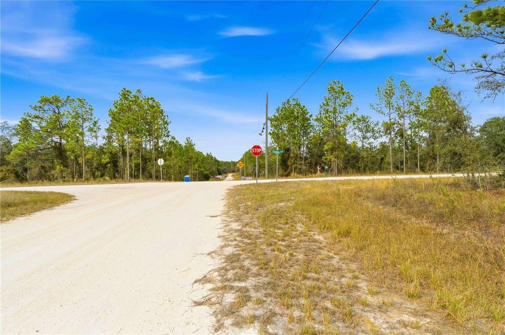 Photo of 0 Tinamou Avenue, Weeki Wachee, FL 34614 (MLS # TB8446826)
