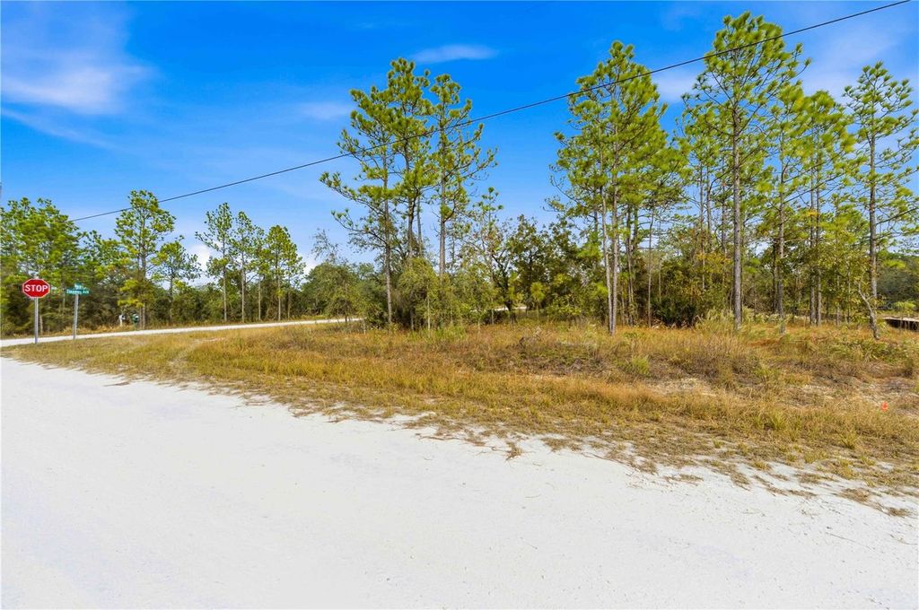 Photo of 0 Tinamou Avenue, Weeki Wachee, FL 34614 (MLS # TB8446826)