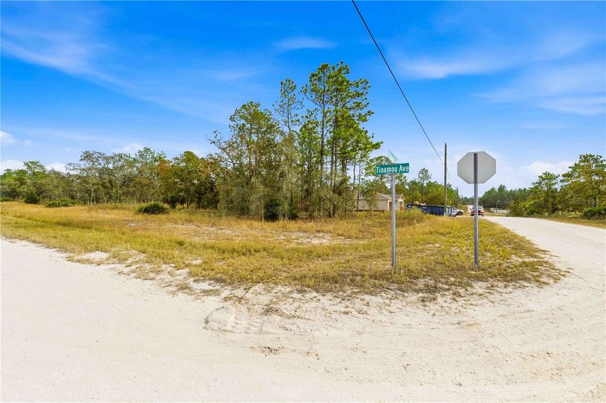 Discover the perfect opportunity to create your dream home on this spacious half-acre corner lot, ideally located in a no flood zone area. With no HOA or deed restrictions, you’ll have the freedom to design and enjoy your property your way. Situated near the stunning Weeki Wachee River, you’ll be able to kayak, paddleboard, and enjoy endless outdoor adventures right nearby. This prime location also offers an easy commute to Tampa and convenient access to medical facilities, restaurants, shopping, and entertainment — everything you need is just minutes away. Don’t miss this chance to own a piece of Florida paradise and build the lifestyle you’ve been dreaming of!