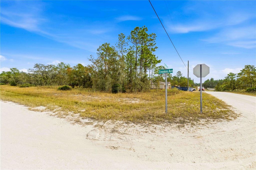 Photo of 0 Tinamou Avenue, Weeki Wachee, FL 34614 (MLS # TB8446826)