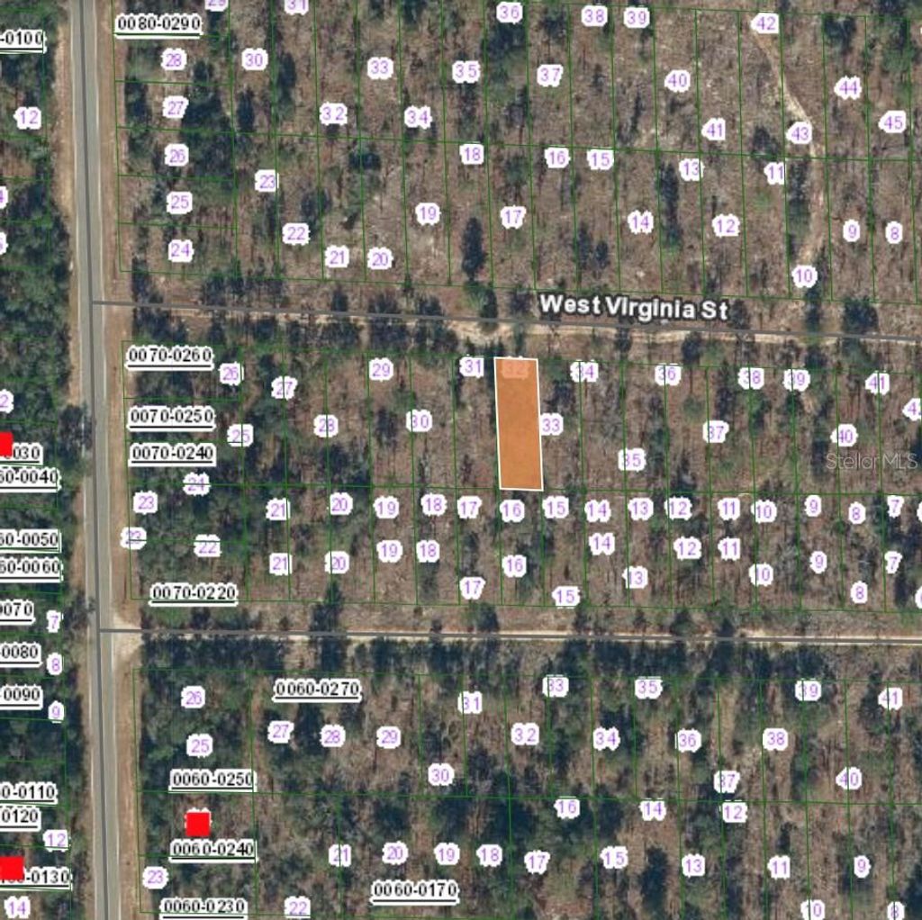 Photo of 123 West Virginia Street, Hawthorne, FL 32640 (MLS # FC315457)
