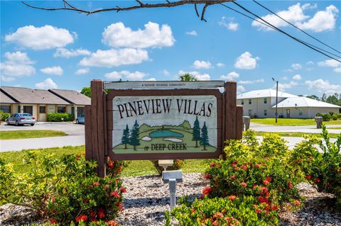 A home in PUNTA GORDA