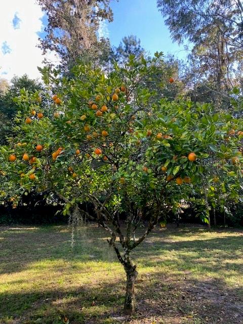 PONCE DE LEON SPGS UN 1 - Residential