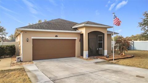 13000 YALE BLUFF DRIVE GRAND ISLAND FL 32735