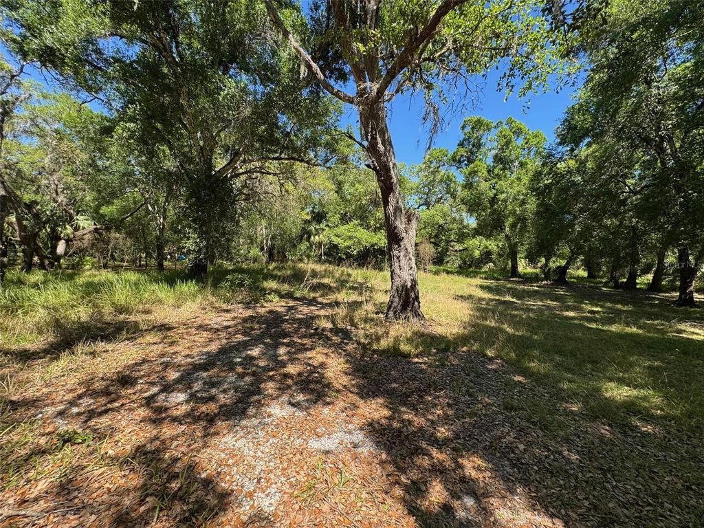 Photo of 1284 NE River Mill Drive, Arcadia, FL 34266 (MLS # C7507080)