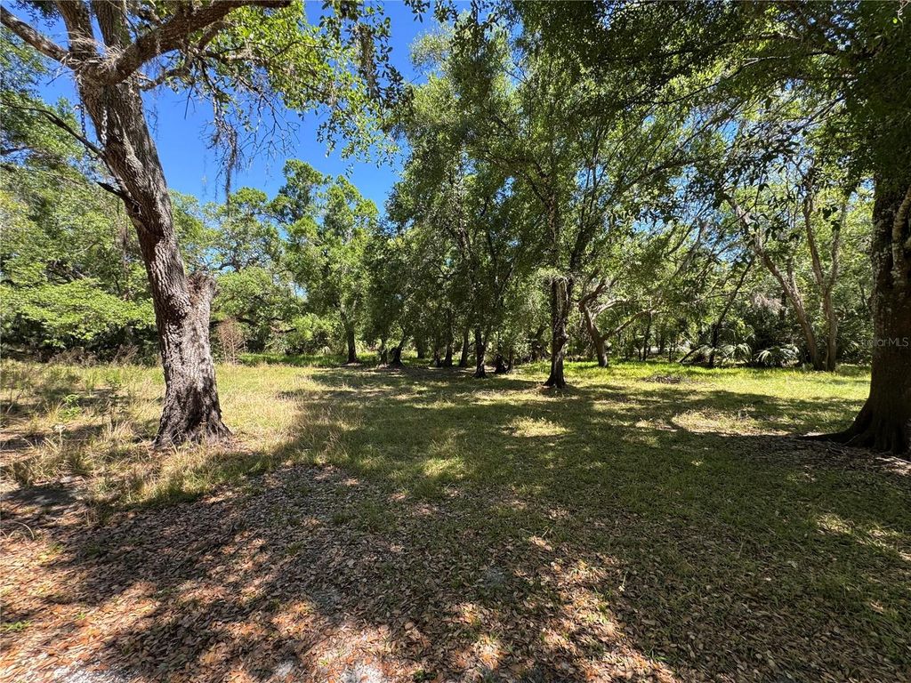 Photo of 1284 NE River Mill Drive, Arcadia, FL 34266 (MLS # C7507080)