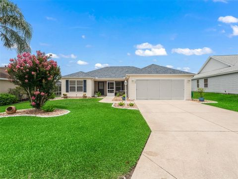 17824 SE 87TH BOURNE AVENUE THE VILLAGES FL 32162
