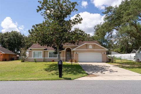 Photo of 54 Bahia Trace Circle, Ocala, FL 34472 (MLS # OM709487)