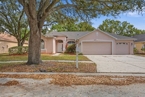 Photo of 4004 Water Park Court, Riverview, FL 33578 (MLS # O6390556)