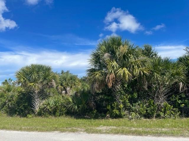 Opportunity awaits to build in paradise known as South Gulf Cove, a beautiful Waterfront Community. Public Water/Sewer lot within minutes to some of the most pristine beaches along the West Coast of Florida. This community offers a park and a public boat ramp with Gulf Access. Located nearby shopping, restaurants, Charlotte Sports complex that hosts the Tampa Bay Devil Rays spring training and much more. Begin living the outdoor lifestyle of your dreams from hiking to boating and everything in between. Vacant parcel is priced for Scrub Jay. Start building Today!!!