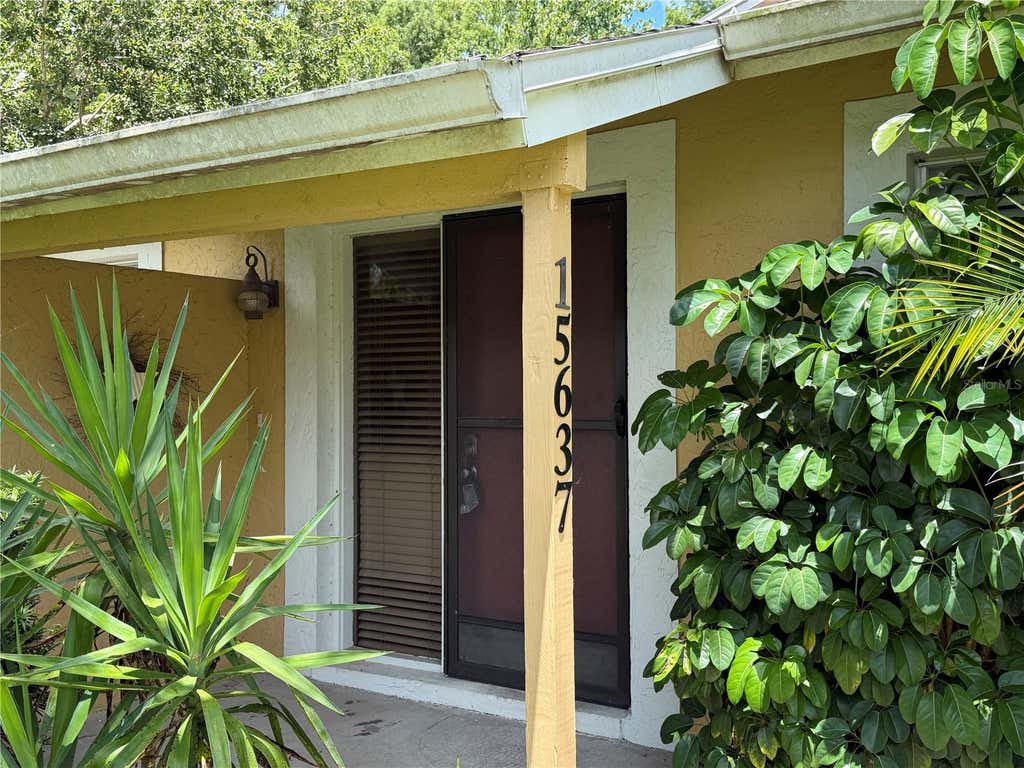 Photo of 15637 Morning Drive, Lutz, FL 33559 (MLS # L4962842)
