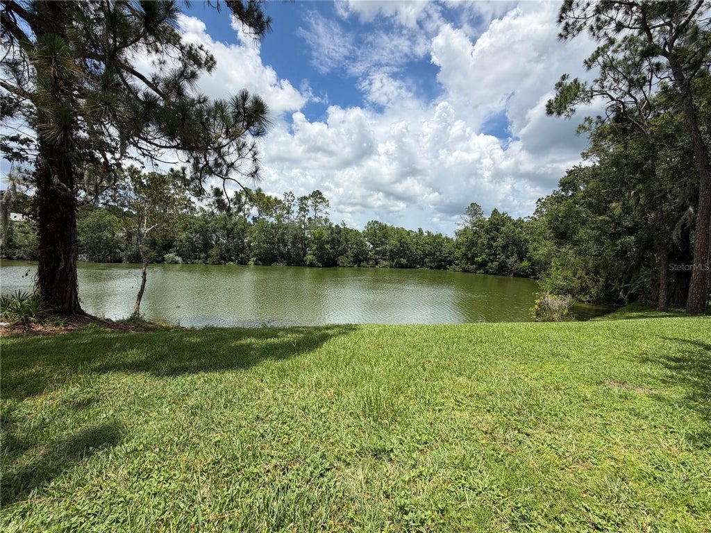 Photo of 15637 Morning Drive, Lutz, FL 33559 (MLS # L4962842)