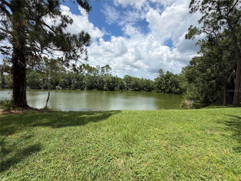 Photo of 15637 Morning Drive, Lutz, FL 33559 (MLS # L4962842)