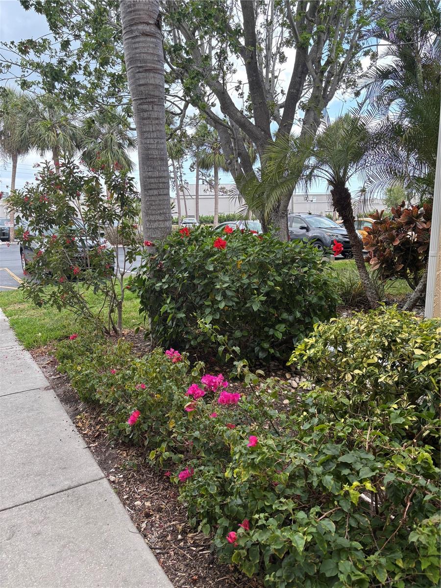 618 BIRD BAY DRIVE S 109