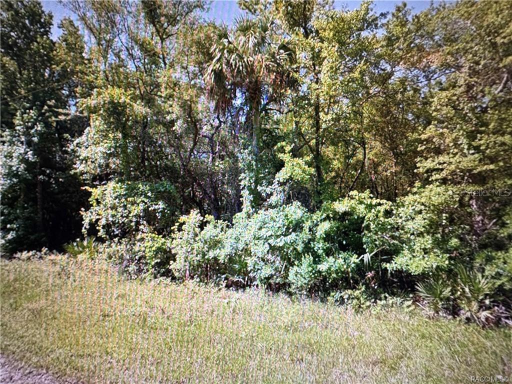 HOLLOW OAKS ESTATES UNREC SUB - Land