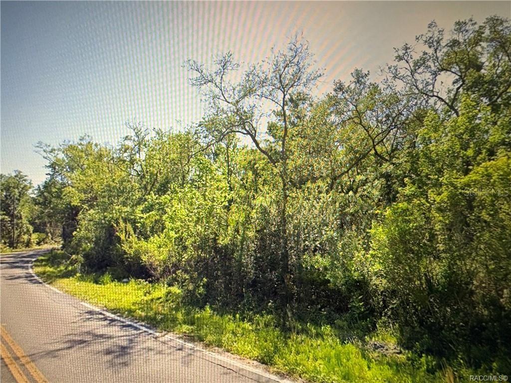 HOLLOW OAKS ESTATES UNREC SUB - Land