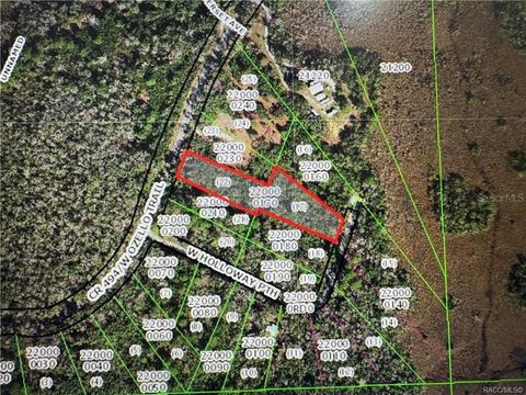 10043 W HOLLOWAY PATH CRYSTAL RIVER FL 34429