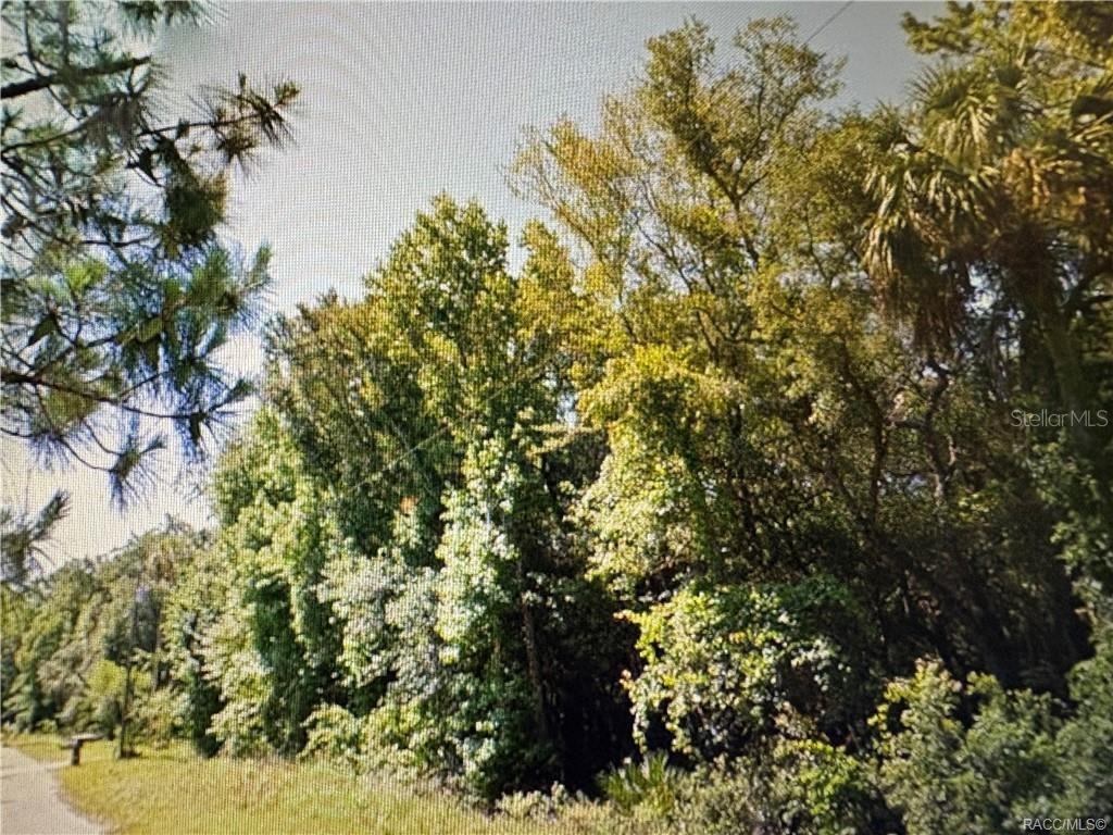 HOLLOW OAKS ESTATES UNREC SUB - Land