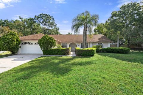 Photo of 16125 Ancroft Court, Tampa, FL 33647 (MLS # TB8447325)