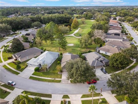 A home in MOUNT DORA