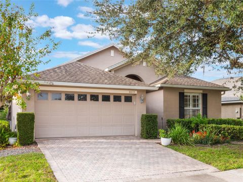 A home in MOUNT DORA