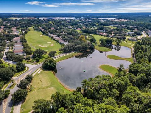 A home in MOUNT DORA