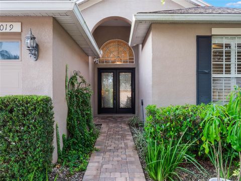 A home in MOUNT DORA