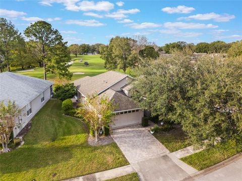 A home in MOUNT DORA