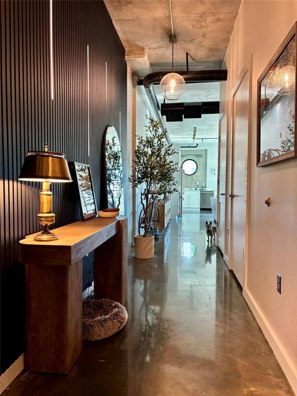 Photo of 1212 E Whiting Street #201, Tampa, FL 33602 (MLS # TB8460549)