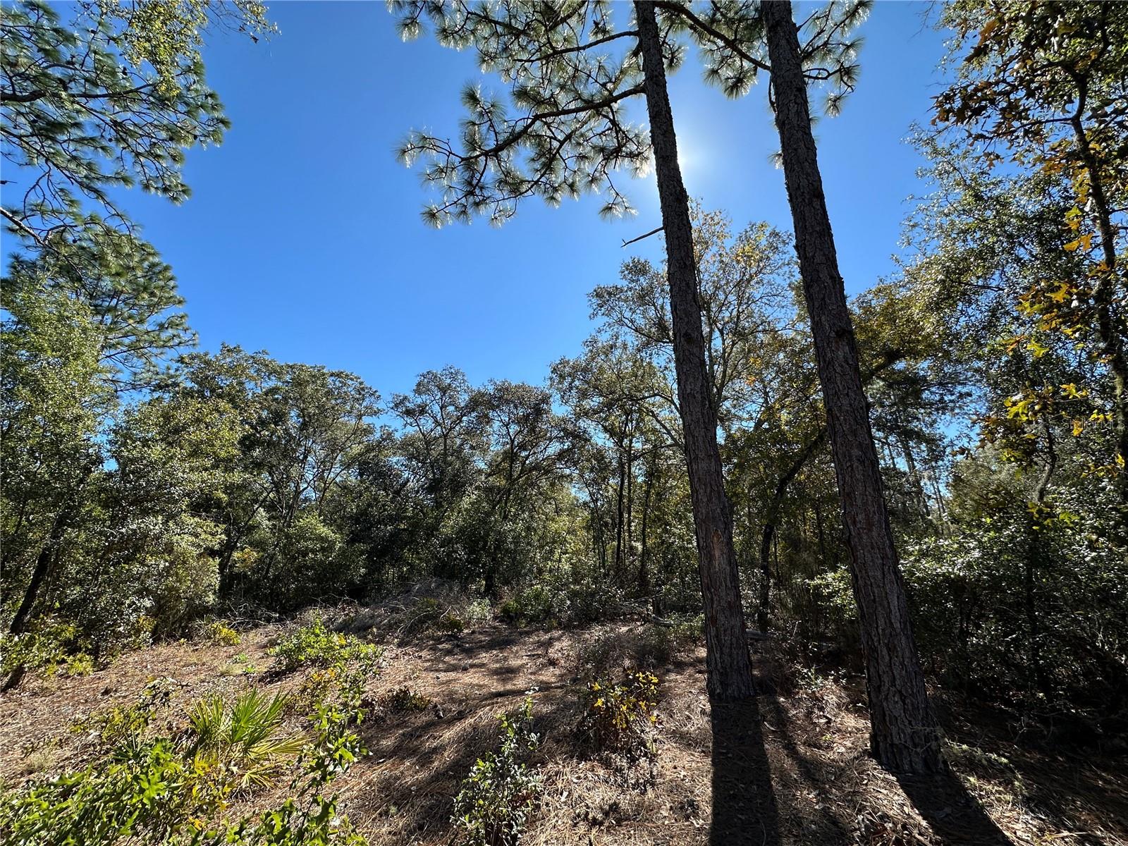 UNIVERSITY ESTATES - Land