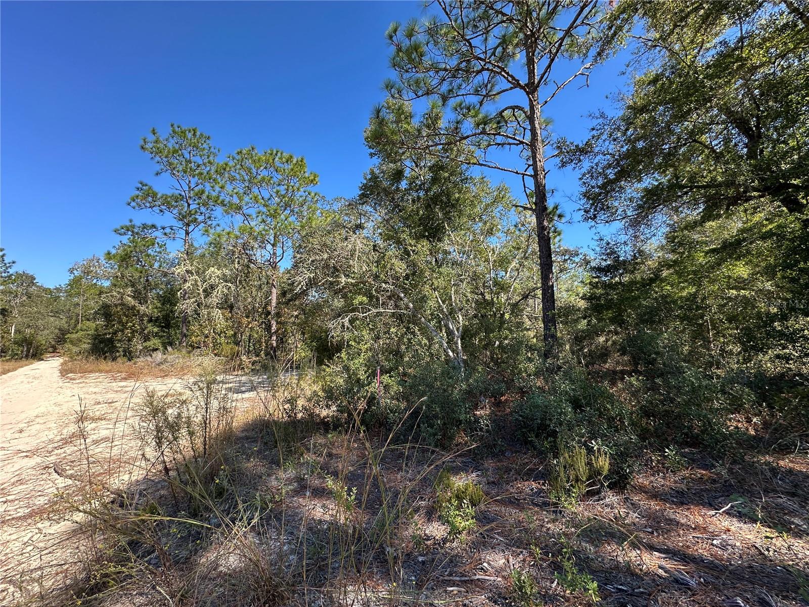 UNIVERSITY ESTATES - Land