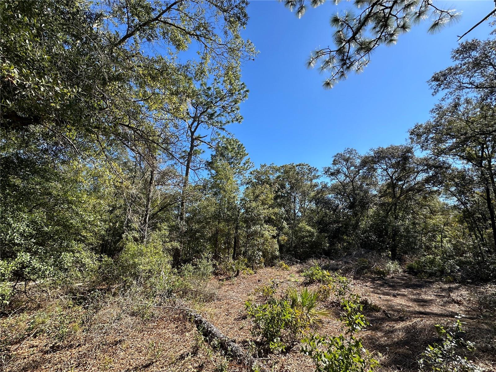 UNIVERSITY ESTATES - Land