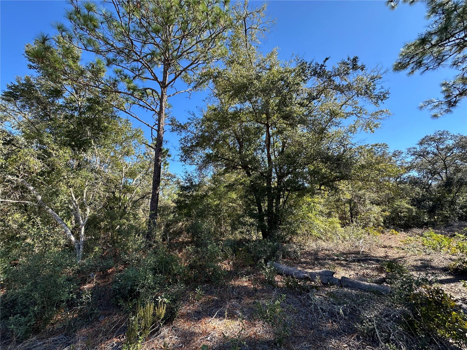 UNIVERSITY ESTATES - Land