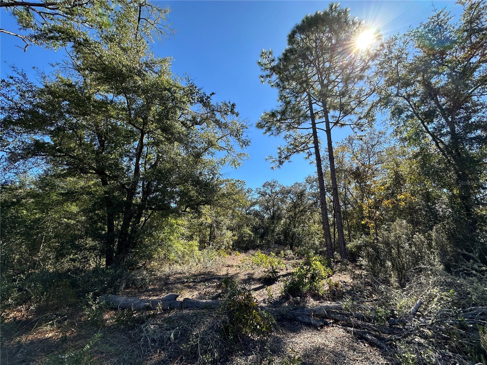 UNIVERSITY ESTATES - Land