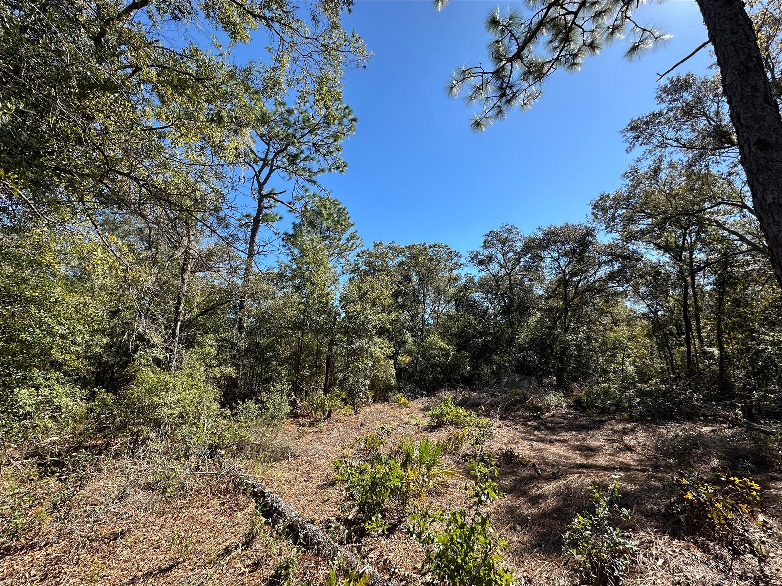 UNIVERSITY ESTATES - Land