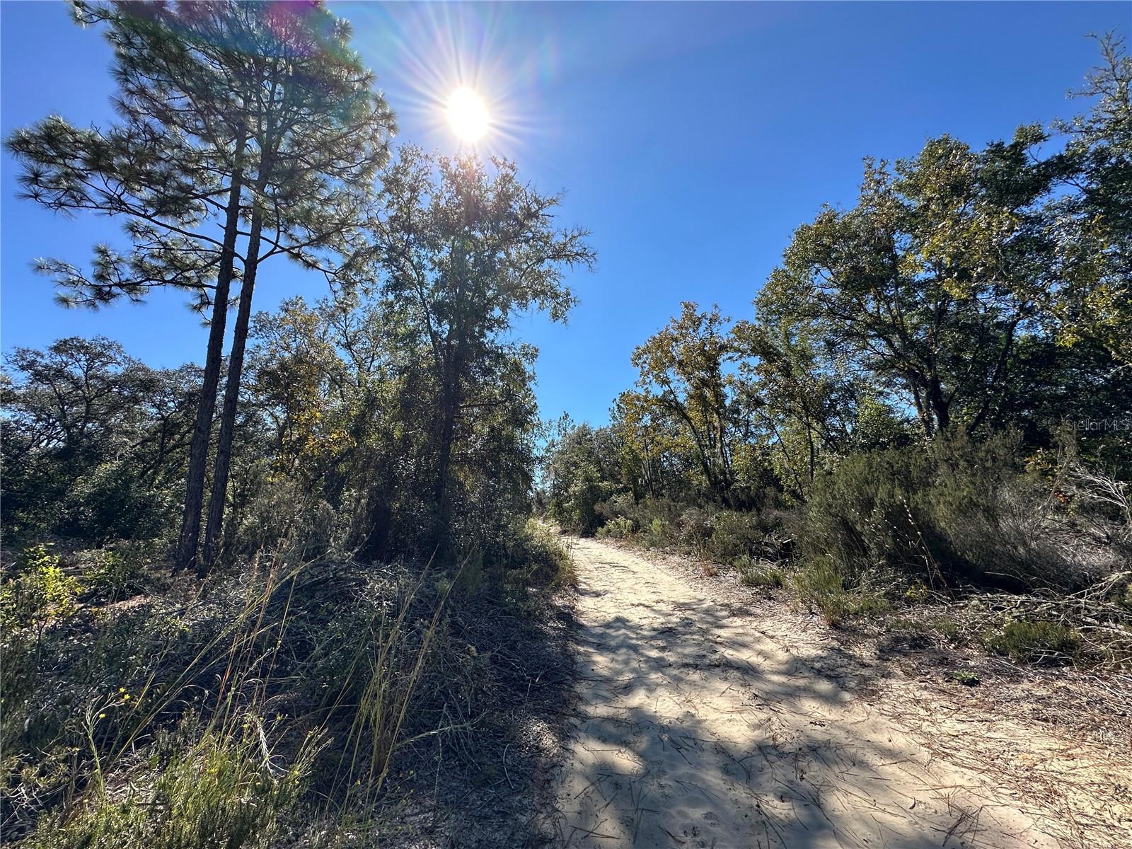 UNIVERSITY ESTATES - Land