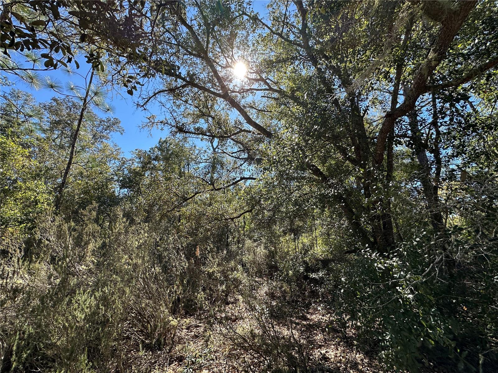 UNIVERSITY ESTATES - Land