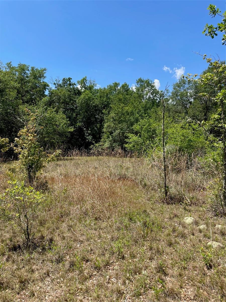 SURVEYORS BLUEPRINT SKETCH UNREC - Land